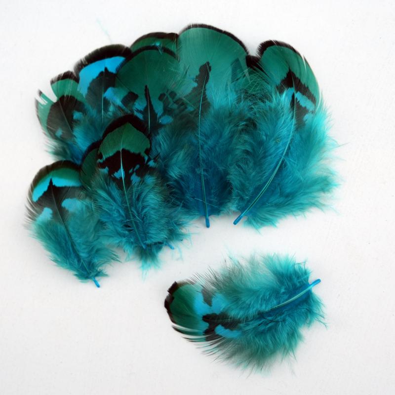 Natural DIY Pheasant Feathers  - Wedding Supply Bulk review and price