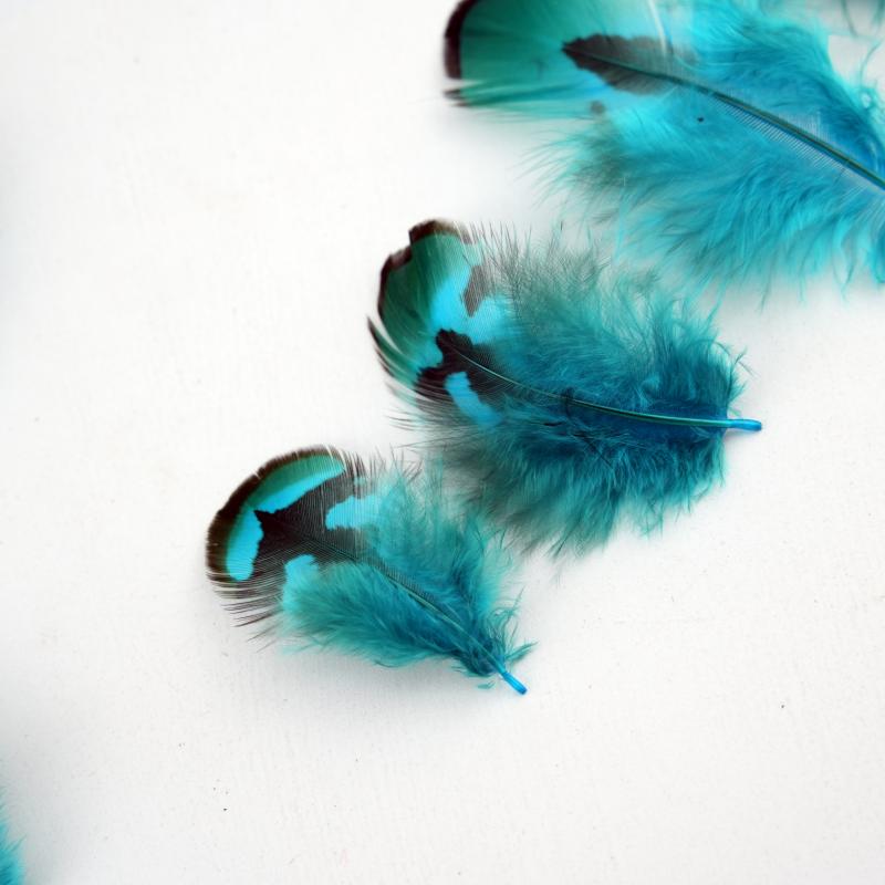 Natural DIY Pheasant Feathers  - Wedding Supply Bulk review and price