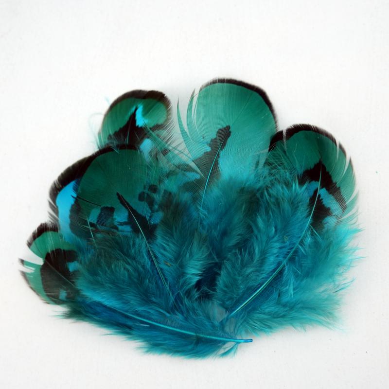 Natural DIY Pheasant Feathers  - Wedding Supply Bulk review and price