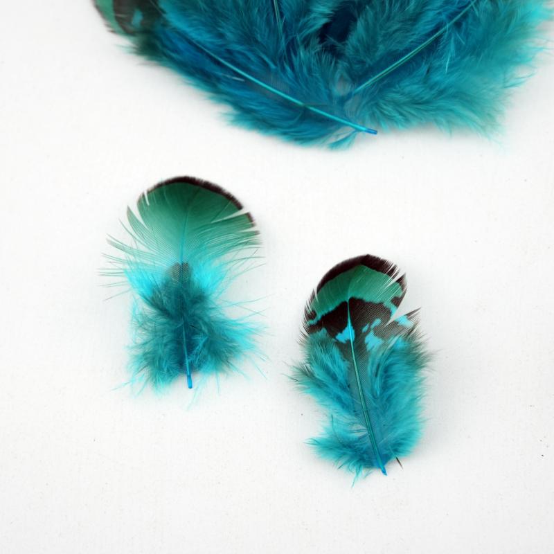 Natural DIY Pheasant Feathers  - Wedding Supply Bulk review and price