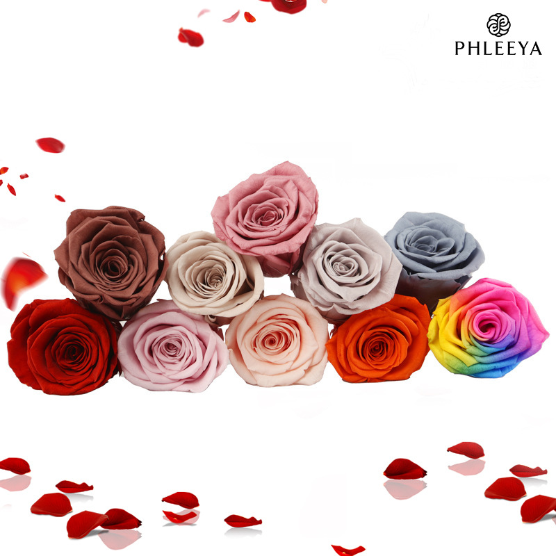 6pcs Eternal Rose Flower Heads - Wedding Supply Bulk review and price